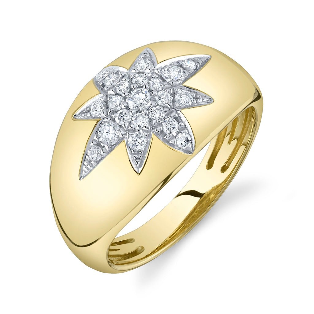 2024/03/1000130659.jpg Diamond Star Ring